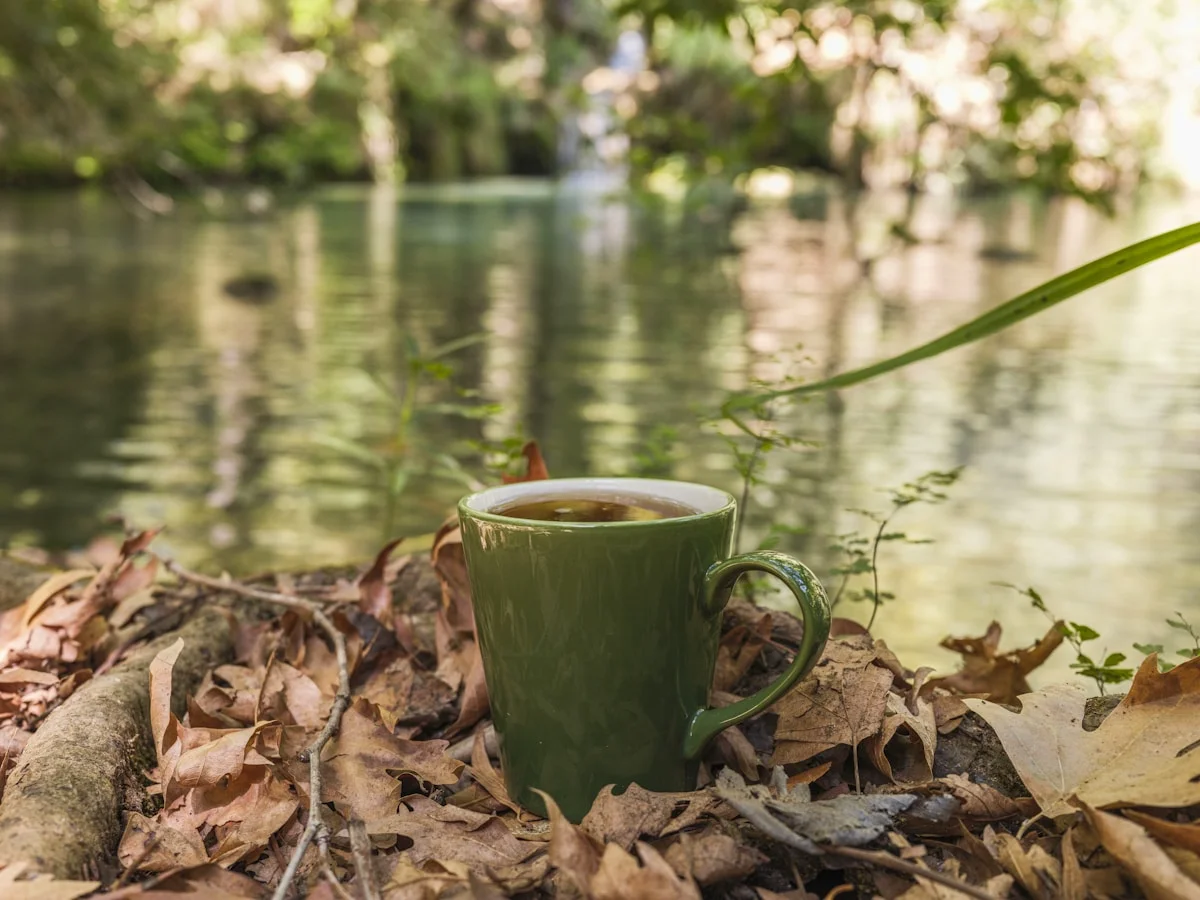 Morning reflection by peaceful water